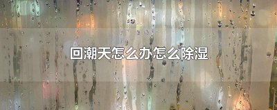 ​回潮天怎么办怎么除湿