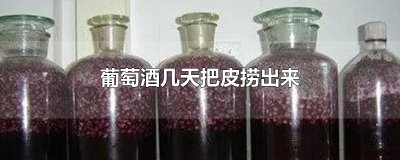 ​葡萄酒几天把皮捞出来