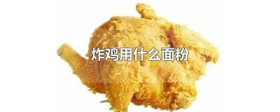 ​炸鸡用什么面粉还是淀粉 炸鸡用什么面粉裹