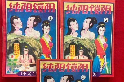 假冒卧龙生的1本香艳武侠小说,书名很强大,少侠桃花运连连