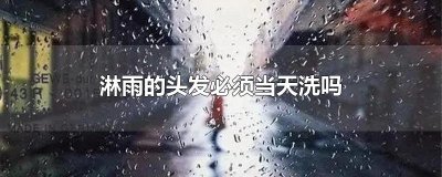 ​淋雨的头发必须当天洗吗