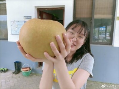 ​这才是真正的鸭梨山大