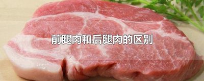 前腿肉和后腿肉的区别