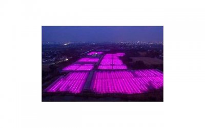 ​男人的喜欢会有什么表现？