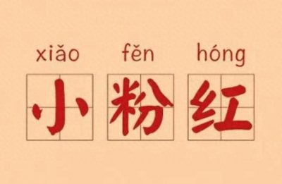 ​汗言奸语｜“小粉红”和“小粉黑”