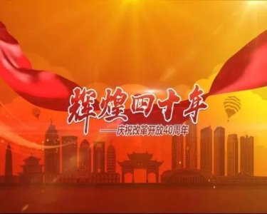 ​辉煌四十年——刀美兰：向阳起飞的“金孔雀”