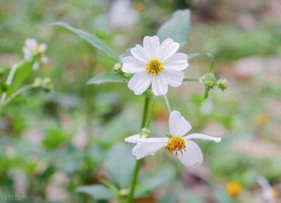 ​奋斗路上：16句适合加班时发的朋友圈文案