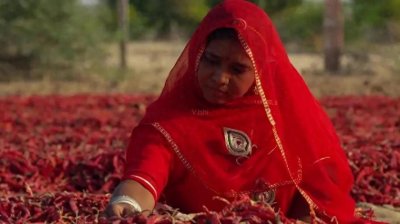 ​开挂的“印度阿三”，这个称呼究竟是怎么来的呢？看完不许笑