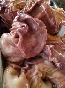 ​下水怎么煮？煮猪下水的配方秘方是什么？