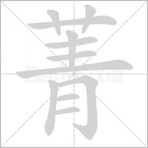 ​“菁”字怎么读?什么意思?菁英的意思是什么?