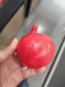 ​人的一生是什么样子，真的是命中注定的吗？