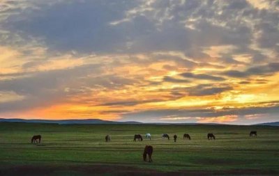 ​神奇的内蒙古大草原