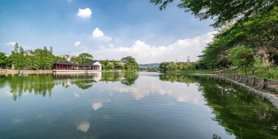 ​必看！广外南国商学院最全报考指南来了