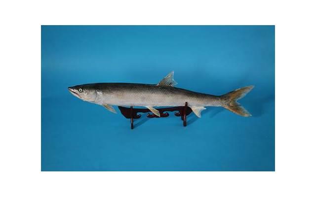 让他陷入到你的魅力中 如何反套路情场高手