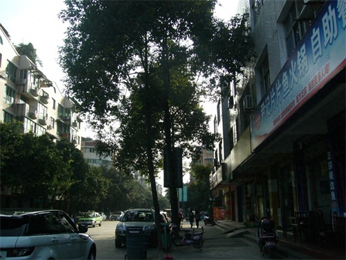 成都市主城区最后一个以镇命名的地方-天回镇