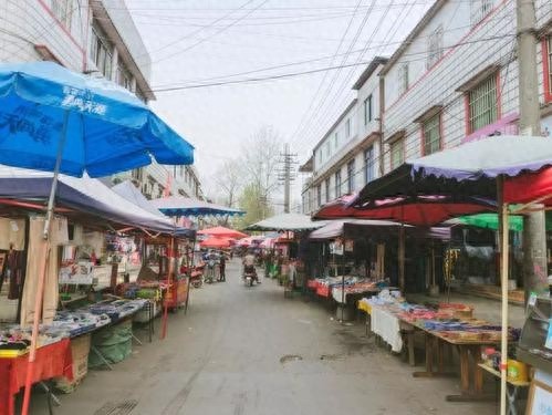 成都市主城区最后一个以镇命名的地方-天回镇