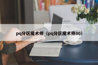 pq分区魔术师(pq分区魔术师80)