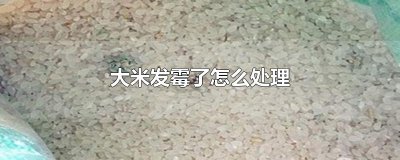 大米发霉了怎么处理