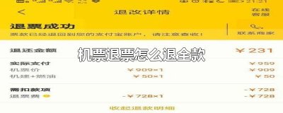 机票退票怎么退全款