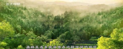 地球之肺是什么生态系统