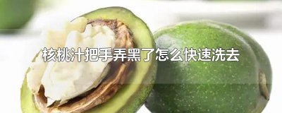 核桃汁把手弄黑了怎么快速洗去