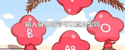 输入身份证号可以查血型吗