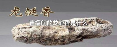 龙涎香真的存在吗 直播间香香是什么