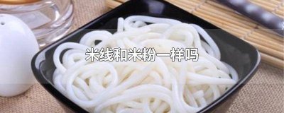 米线跟米粉一样吗 米粉和米线是一样的吗