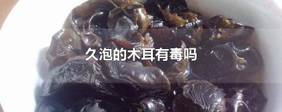 木耳久泡会有毒吗 久泡的木耳水有毒吗