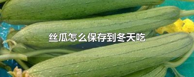丝瓜怎么储存能到冬天吃 丝瓜如何储存冬天吃