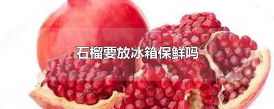 石榴要放冰箱保鲜吗