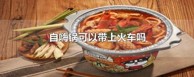 自嗨锅可以带上火车吗