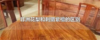 刺猬紫檀跟非洲花梨区别在哪里图片 刺猬紫檀跟非洲花梨的区别