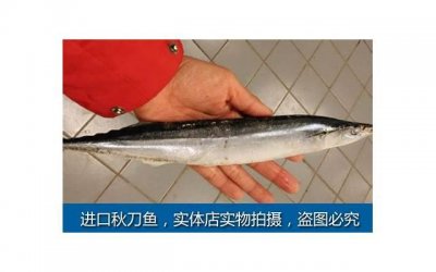 布兰妮小甜甜(小甜甜布兰妮纵情奔跑)