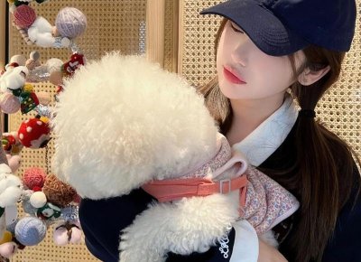 宋慧乔刘海,宋慧乔的一款短发+空气刘海就能撩动你的心