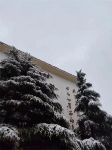 2024年济南卫生学校招生开始