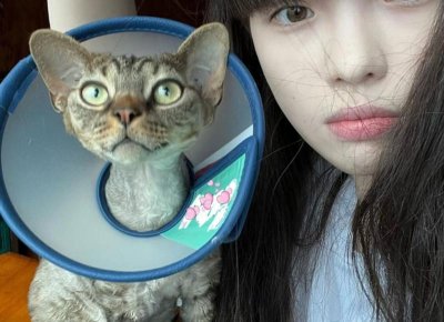 实用的表白技巧,给她一次无法拒绝的表白