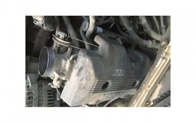 刘德华吃素,刘德华自曝吃素6年会胖的食物他因何照吃不误