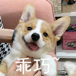 哈尔滨这四大车站你知道几个?走哪个比较方便?