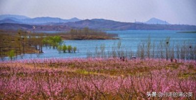 厦门57个免费景点全攻略——一场不花钱的旅行盛宴!