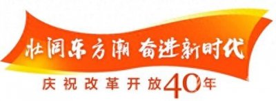 看佛山迎春花市变迁:花市越来越靓生活越变越好