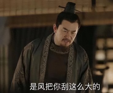 知否:顾廷烨十五岁时,小秦氏就算计了他的第一个孩子