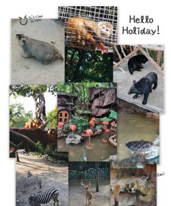 别有洞天打一动物,别有洞天是数字几?