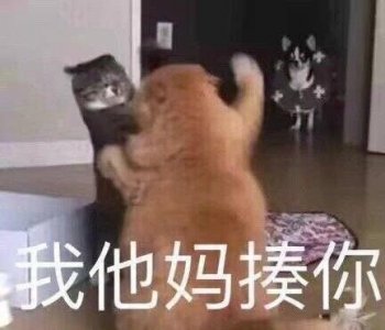 生气 火大的表情包合集