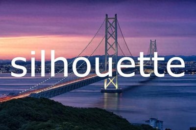 每日单词:silhouette