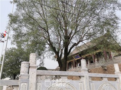 西安香积寺村:千年古寺旁的千年古村落,或许即将消失……