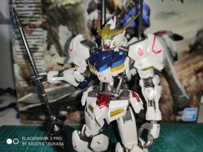 国民机体巴巴托斯