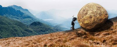 家里小蚂蚁太多了怎么消灭呢 灭蚂蚁上门服务