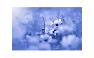 女生讨厌口jiao怎么办 女生第一次口jiao有什么技巧