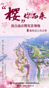 “樱”你而来丨盘点南京樱花景观地